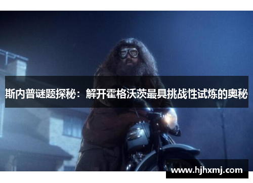 斯内普谜题探秘：解开霍格沃茨最具挑战性试炼的奥秘