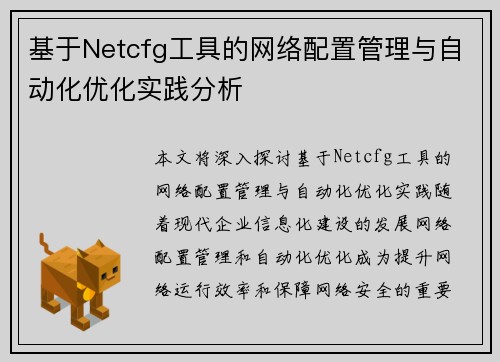 基于Netcfg工具的网络配置管理与自动化优化实践分析